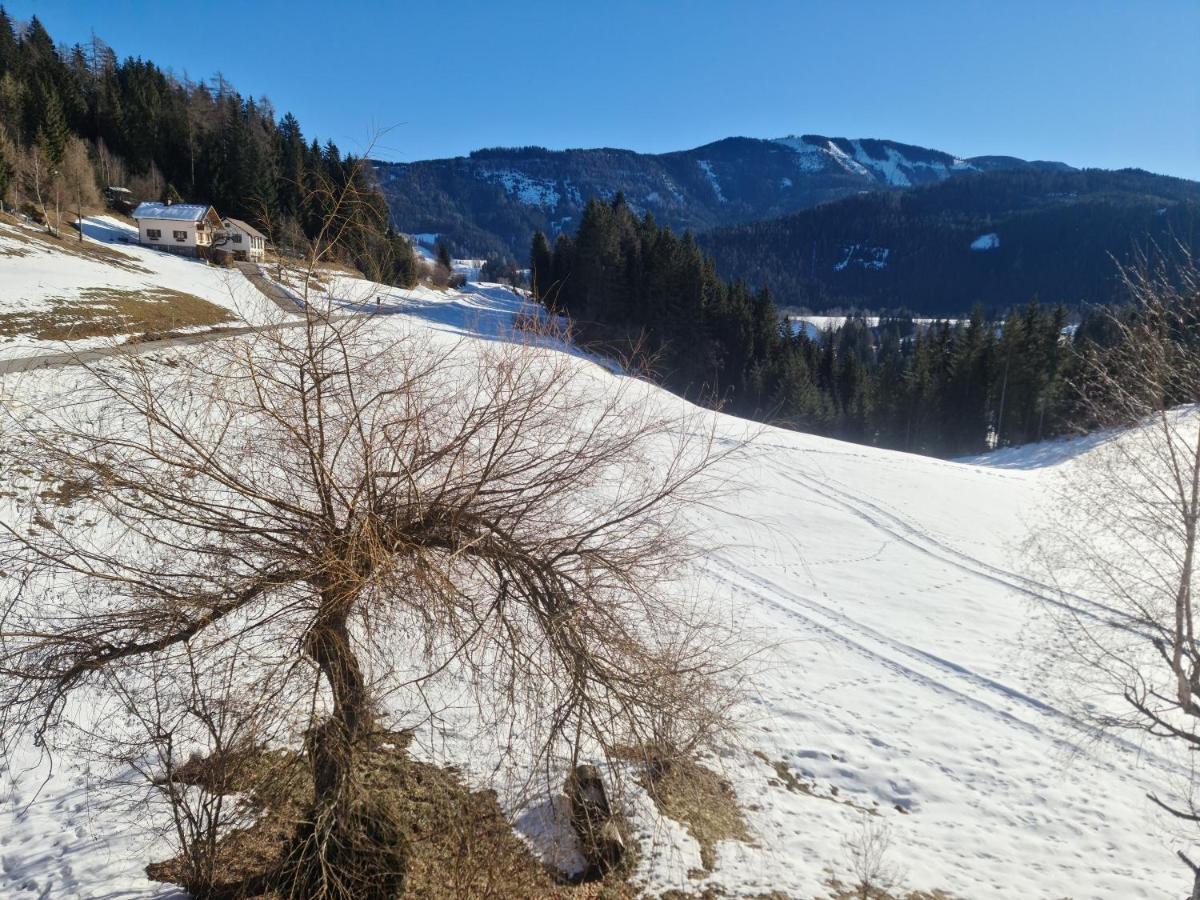 Schoene Ferienwohnung Im Naturpark Grebenzen Sankt Lambrecht Exterior foto