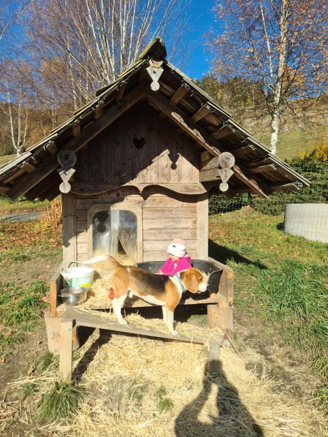 Schoene Ferienwohnung Im Naturpark Grebenzen Sankt Lambrecht Exterior foto